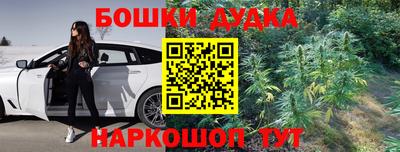 индика Гагарин